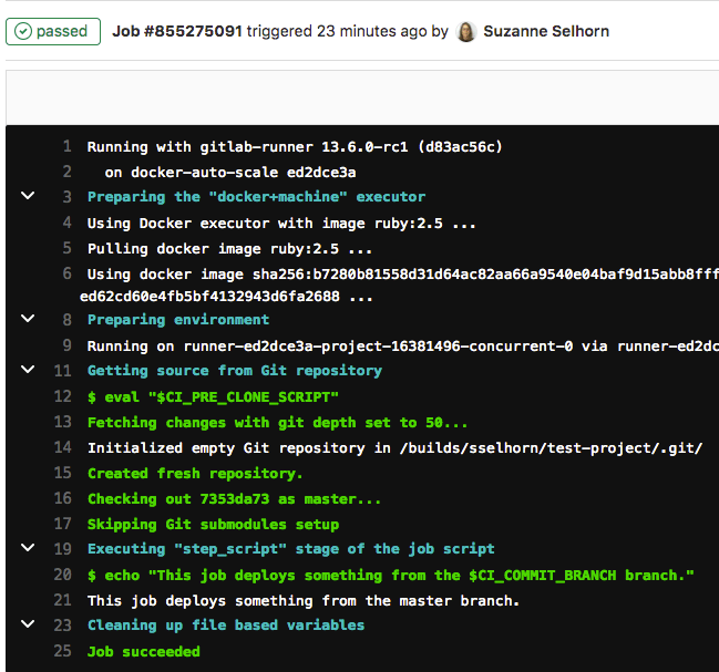 作业详情页面显示当前状态、时间信息和日志输出。