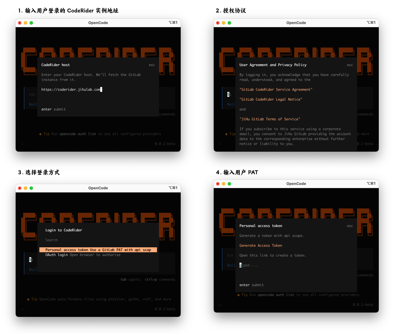 CodeRider CLI PAT登录