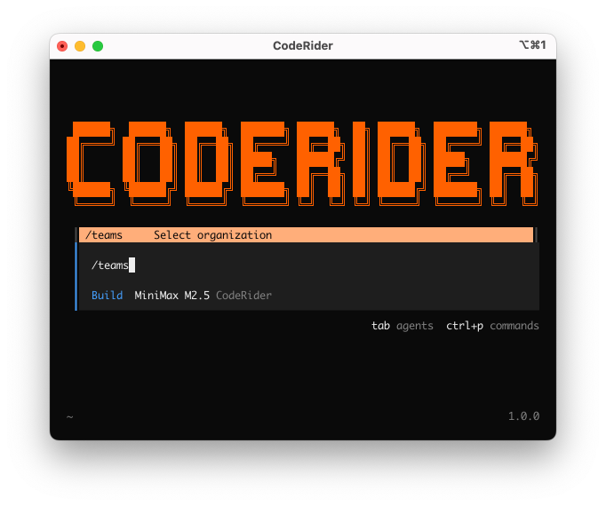 CodeRider CLI 选择组织