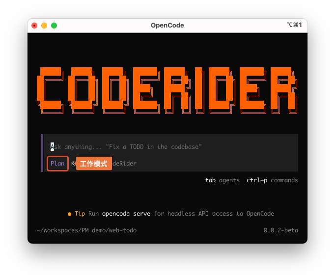 CodeRider CLI
